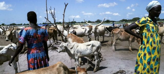 The UN Commission on Human Rights in South Sudan continues to document rights abuses. The UN Commission on Human Rights in South Sudan continues to document rights abuses.
