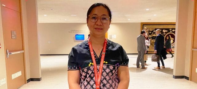 Naw Ei Ei Min, Executive Council Member of the Asia Indigenous Peoples Pact. Naw Ei Ei Min, Executive Council Member of the Asia Indigenous Peoples Pact.