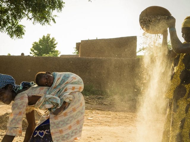 The UN works at building food security, which in turn, builds climate security in Mali. The UN works at building food security, which in turn, builds climate security in Mali.