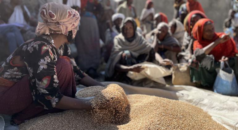 WFP pauses food distribution in Ethiopia following ‘significant ...