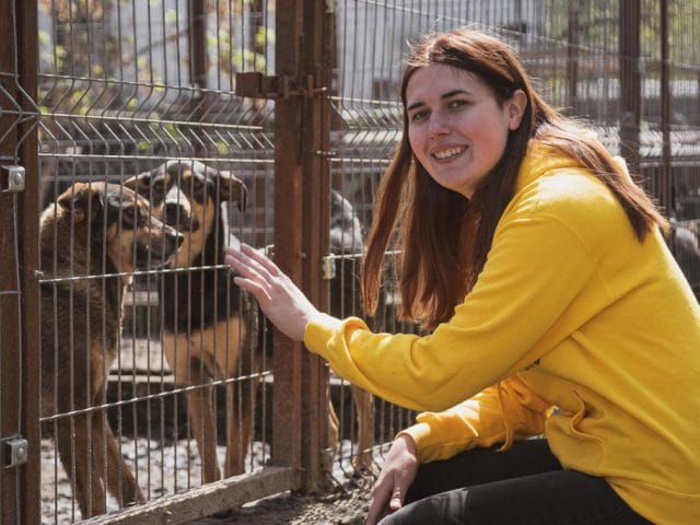 Young people are working together, with UN support, to help animals in Kropyvnytskyi, Ukraine. Young people are working together, with UN support, to help animals in Kropyvnytskyi, Ukraine.