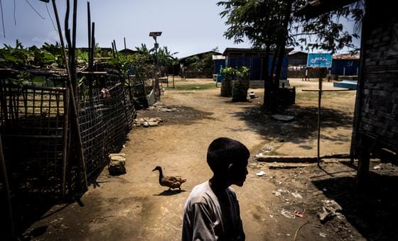 Myanmar: Rohingyas in firing line as Rakhine conflict intensifies