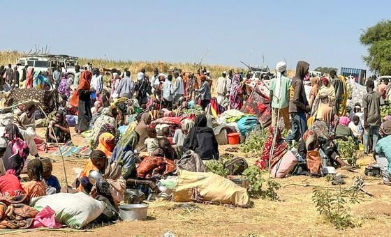 Rights chief warns ‘abominable atrocities’ likely continue in Sudan’s El Fasher